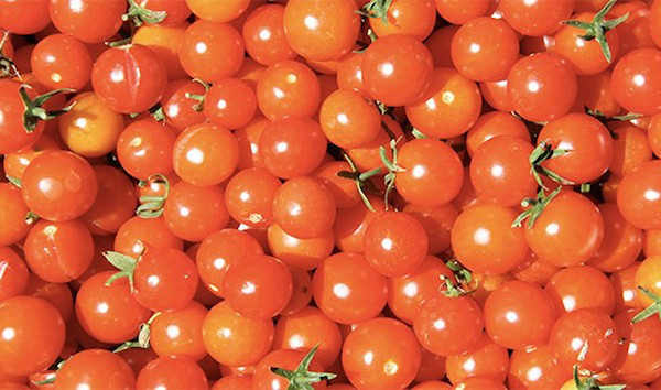 Until tomatoes showed up, Pizzas looked very different in old Italy.