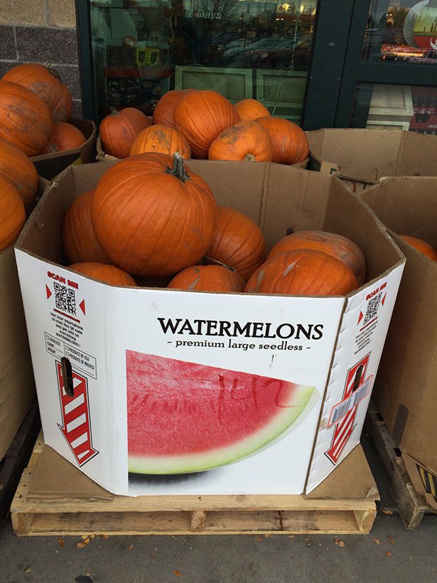 pumpkin - 7 Days 30 31 De In Watermelons premium large seedless