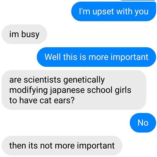 organization - I'm upset with you im busy Well this is more important are scientists genetically modifying japanese school girls to have cat ears? No then its not more important