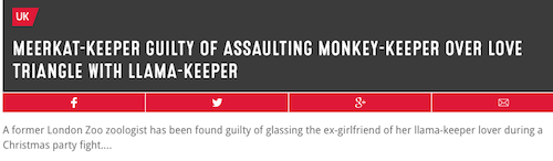 design - Uk MeerkatKeeper Guilty Of Assaulting MonkeyKeeper Over Love Triangle With LlamaKeeper A former London Zoo zoologist has been found guilty of glassing the exgirlfriend of her llamakeeper lover during a Christmas party fight....