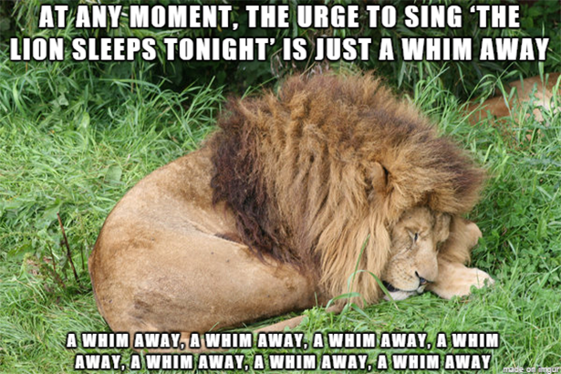 funniest animal memes - At Any Moment, The Urge To Sing 'The Lion Sleeps Tonight' Is Just A Whim Away A Whim Away, A Whim Away, A Whim Away, A Whim Away, A Whim Away, A Whim Away, A Whim Away
