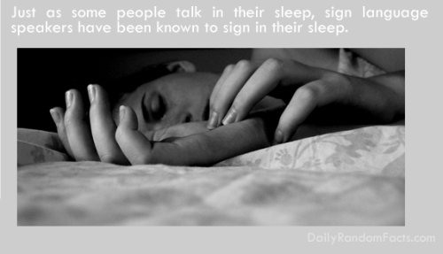 photograph - Just as some people talk in their sleep, sign language speakers have been known to sign in their sleep.