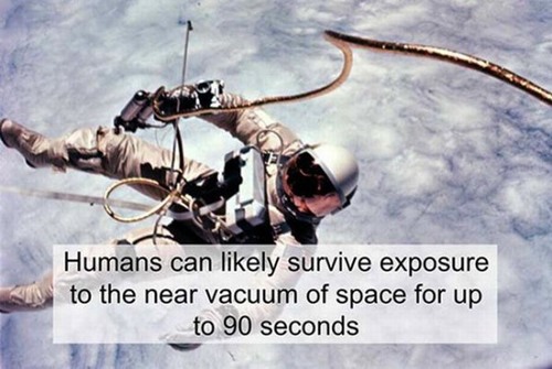 ed white spacewalk - Humans can ly survive exposure to the near vacuum of space for up to 90 seconds