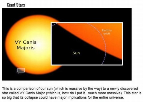 orange - Giant Stars Orbit Vy Canis Majoris Sun This is a comparison of our sun which is massive by the way to a newly discovered star called Vy Canis Major which is, how do I put it...much more massive. This star is so big that its collapse could have ma