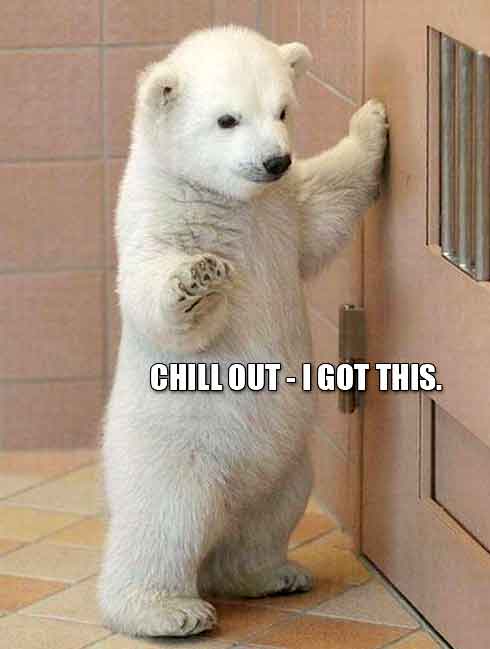 baby polar bear meme - Chill OutI Got This.