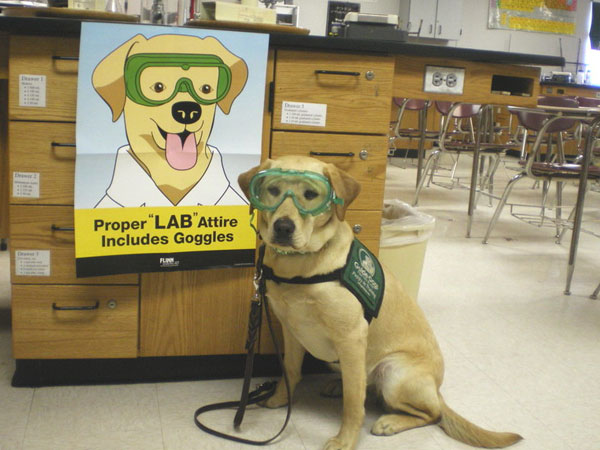proper lab attire - Proper