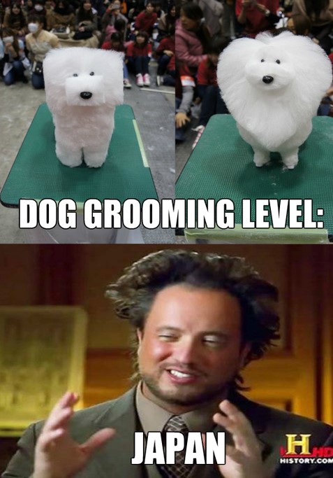 funny dog grooming - Dog Grooming Level Japan H. History.Com