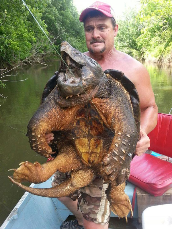 oklahoma snapping turtle