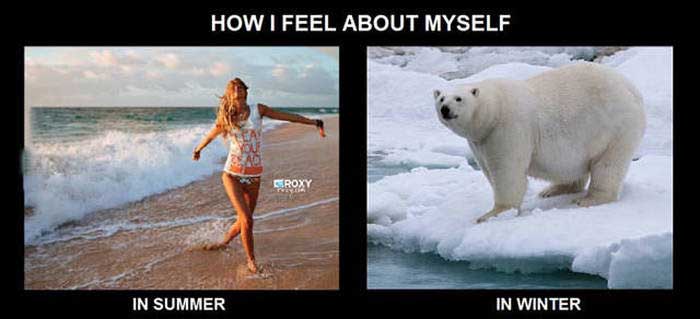 polar bear - How I Feel About Myself Roxy In Summer In Winter