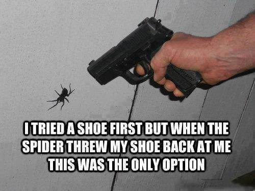 spider gun meme - Otried A Shoe First But When The Spider Threw My Shoe Back At Me This Was The Only Option