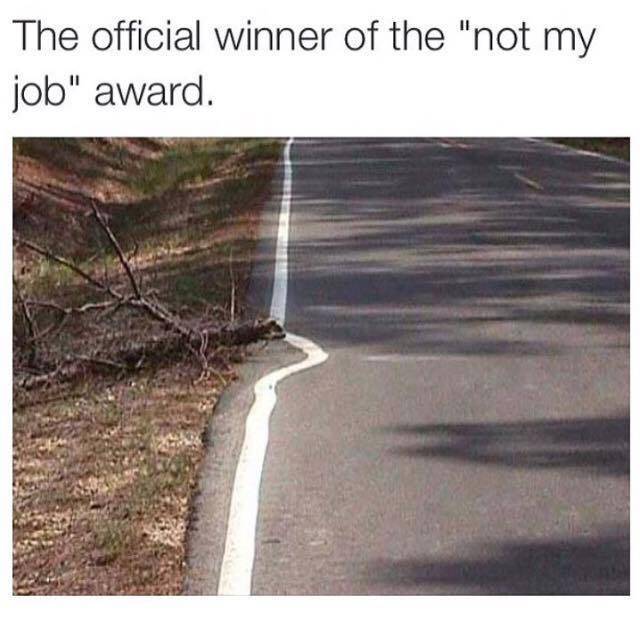 it's not my job meme - The official winner of the "not my job" award.
