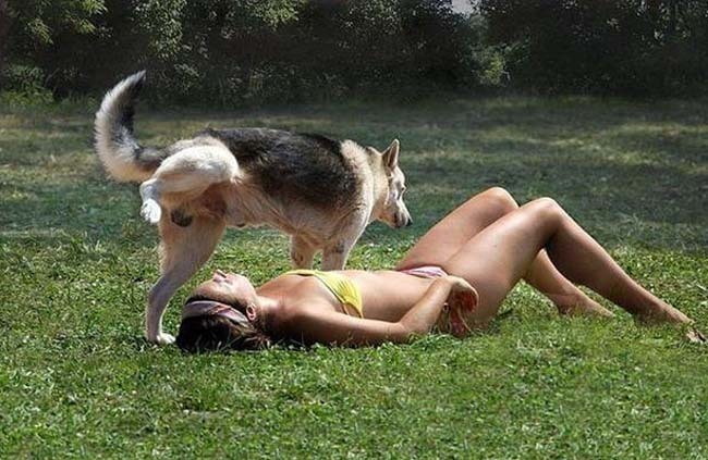dog piss on girl