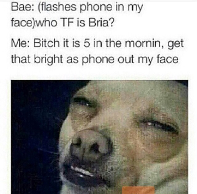 someone says they love waking up early - Bae flashes phone in my facewho Tf is Bria? Me Bitch it is 5 in the mornin, get that bright as phone out my face