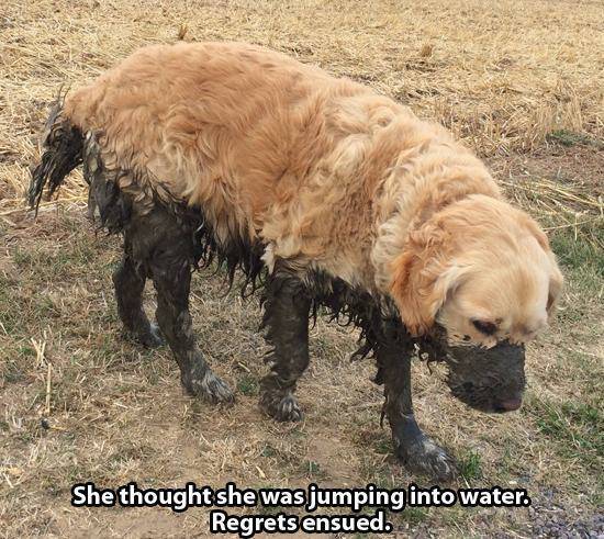She thought she was jumping into water. Regrets ensued.