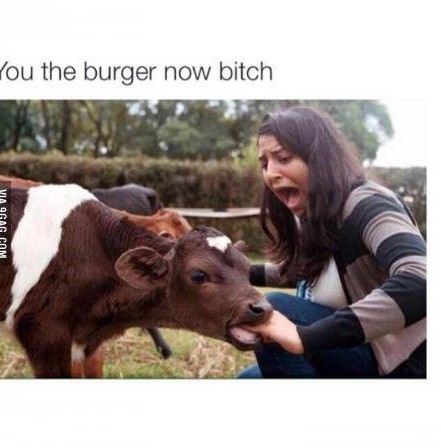 you the burger now - You the burger now bitch Via 9GAG.Com