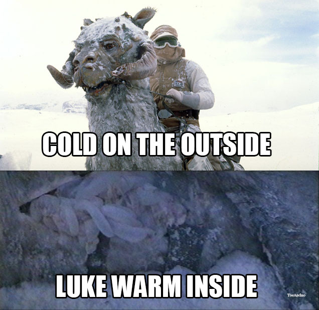 star wars tauntaun meme - Cold On The Outside Luke Warm Inside ToeAndno