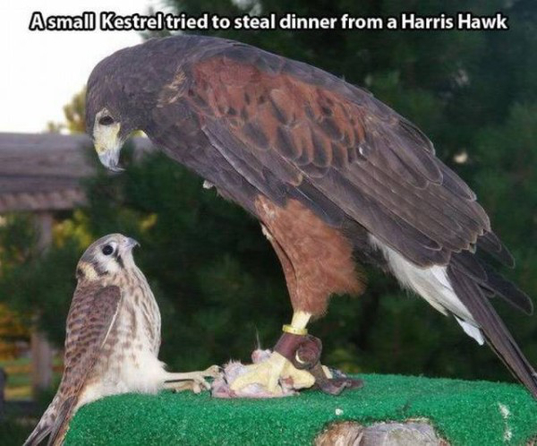36 Awesome Fun Pics for your Enjoyment!