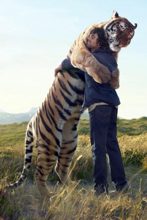 21 Animals hugging humans to cheer up your day