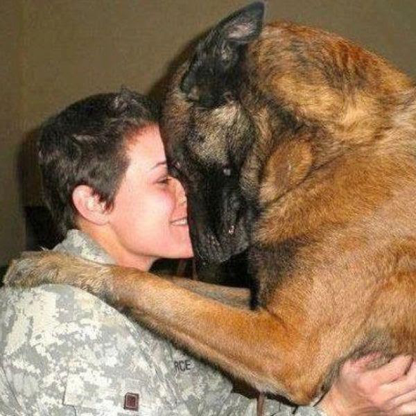 21 Animals hugging humans to cheer up your day
