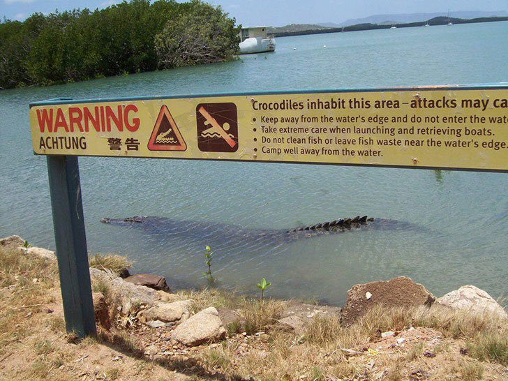 pormpuraaw crocodile farm - Warning A A Crocodiles inhabit this areaattacks may ca Keep away from the water's edge and do not enter the wat . Take extreme care when launching and retrieving boats. . Do not clean fish or leave fish waste near the water's e