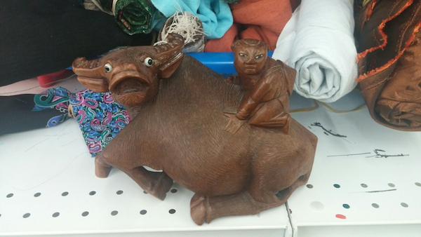 You never know what you’ll find at the thrift shop!