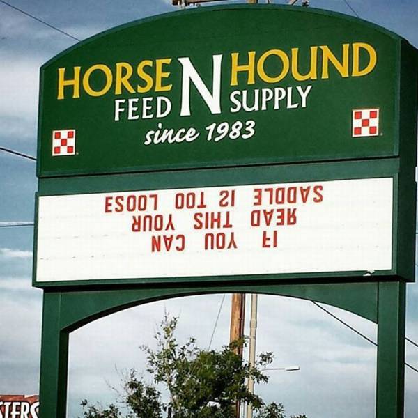 street sign - Ters 1 You Can Ead This Your Saddle 12 Too Loos since 1983 Feed Iv Supply Horsen Hound