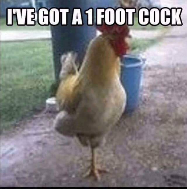 random pic funny cock memes - I'Ve Got A 1 Foot Cock
