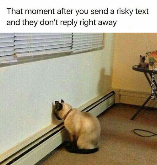 That moment after you send a risky text and they don't right away MemeCenter.com