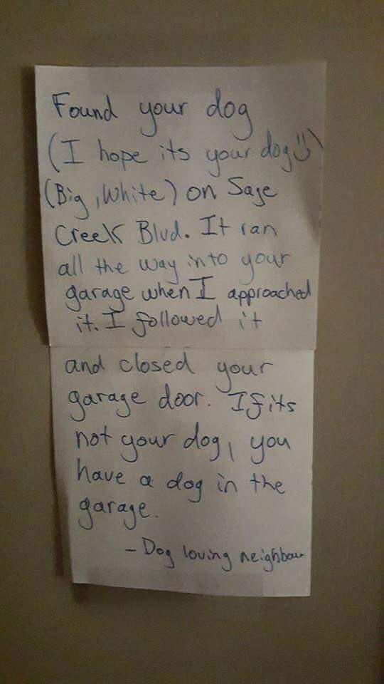 handwriting - Found your dog I hope its your dogul Big, White on Sage Creek Blud. It ran all the way into your garage when I approached it. I ed it and closed your garage door. Ifits not your dog, you have a dog in the garage. Dog loving neighbour