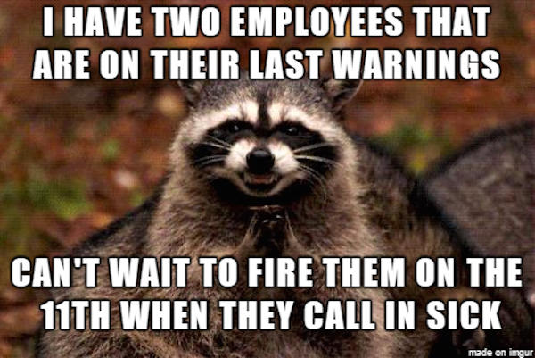 evil raccoon meme - I Have Two Employees That Are On Their Last Warnings Can'T Wait To Fire Them On The 11TH When They Call In Sick made on imgur