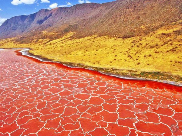 Tanzania : Lake Natron Lake Natron is an alkali endorheic salt lake of tectonic origin present in northern Tanzania...