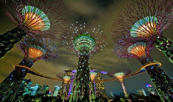 Singapore : The Park Gardens by the Bay Green space with remarkable biodiversity, built for more than 625 million dollars. This giant park measures 101 hectares and comprises three gardens...