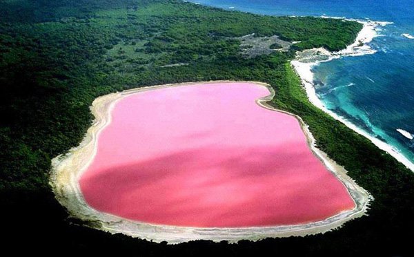 Western Australia : Pink Lake of Middle Island The Hillier lake on the island of Middle Island has a pink water, the cause are explained in a wiki : http://en.wikipedia.org/wiki/Pink_Lake_(Western_Australia) . It was discovered in 1802 by a British explorer...