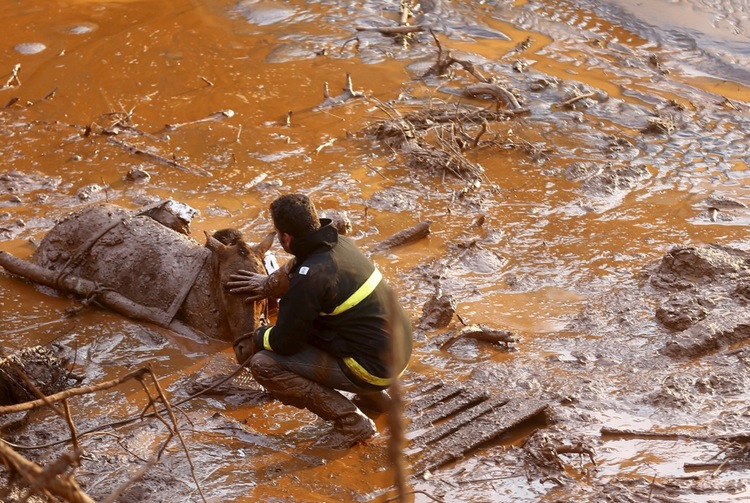 A rescue worker comforts a horse as they attempt to save the animal following a mudslide in Mariana, Brazil.