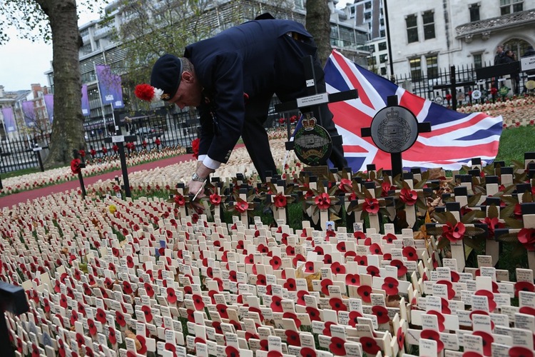 Crosses are added to the Field of Remembrance in London to mark Armistice Day on the 11th hour of the 11th day of the 11th month.