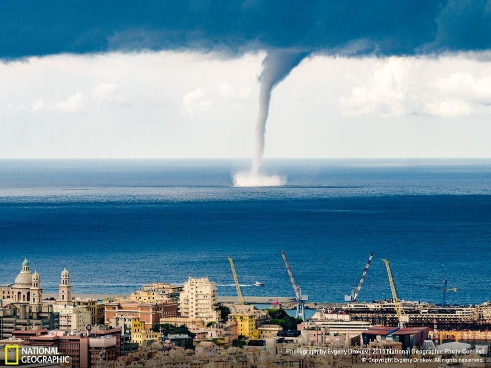Tornado in Genoa Waters...The photographer, Evgeny Drokov, says:  "Rare moment of tornado in vicinity of Genoa Port, Italy. The tornado formed in about 10 minutes and disappeared quickly."