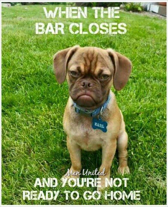 grumpy dog - When Thie Bar Closes Men United And You'Re Not Ready To Go Home