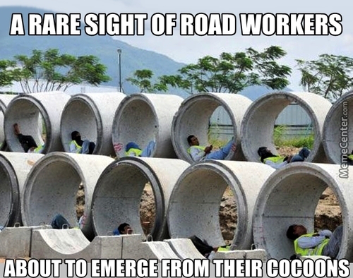 hard working jokes - A Rare Sight Of Road Workers MemeCenter.com About To Emerge From Their Cocoons
