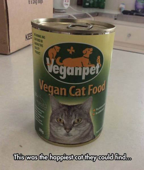 vegan cat food meme - 612xg bag Veganpet Vegan Cat Food This was the happiest cat they could find.co