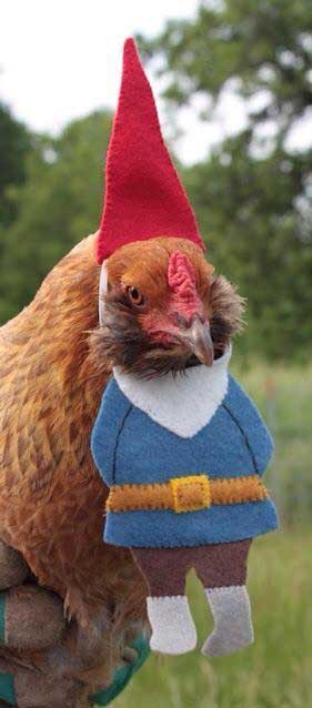 chicken gnome costume