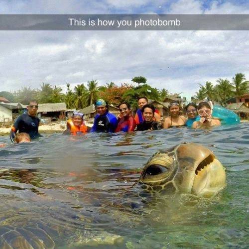 32 Awesome Pics to Make Your Day!