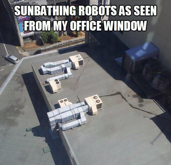 sunbathing robots - Sunbathing Robots As Seen From My Office Window