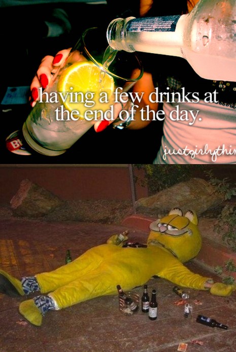 garfield funny meme - having a few drinks at the end of the day. justgirly thin