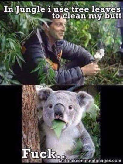 bear grylls funny - In Jungle i use tree leaves to clean my butt Fuck.. Tacbookcommentimages.com
