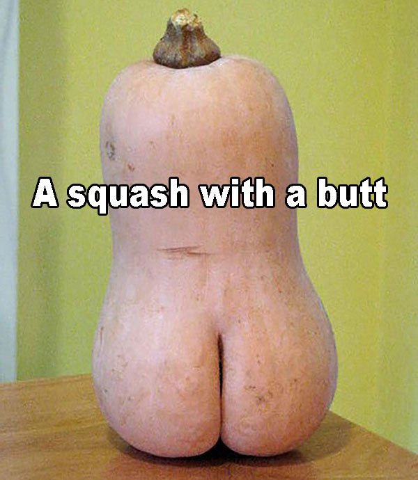 funny nude vegetables - A squash with a butt