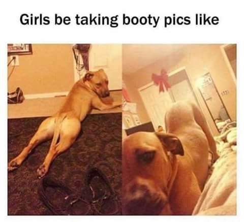 photo caption - Girls be taking booty pics
