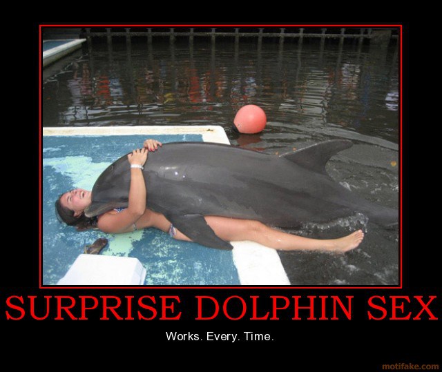 sexual relationship with dolphin - Surprise Dolphin Sex Works. Every Time. motifake.com