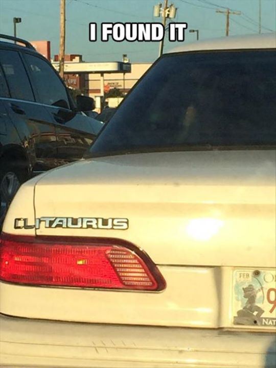 funny car pun - I Found It Clintaurus