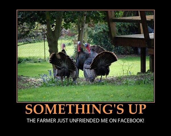 funny thanksgiving memes - Something'S Up The Farmer Just Unfriended Me On Facebook!