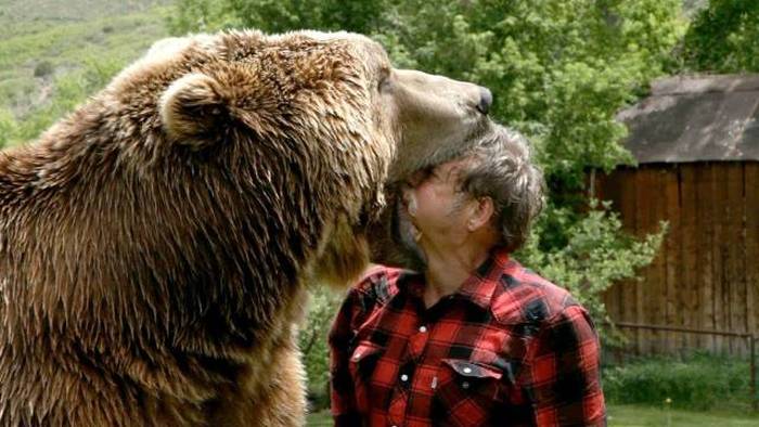 grizzly bear man